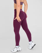 Evolve Naadloze Legging